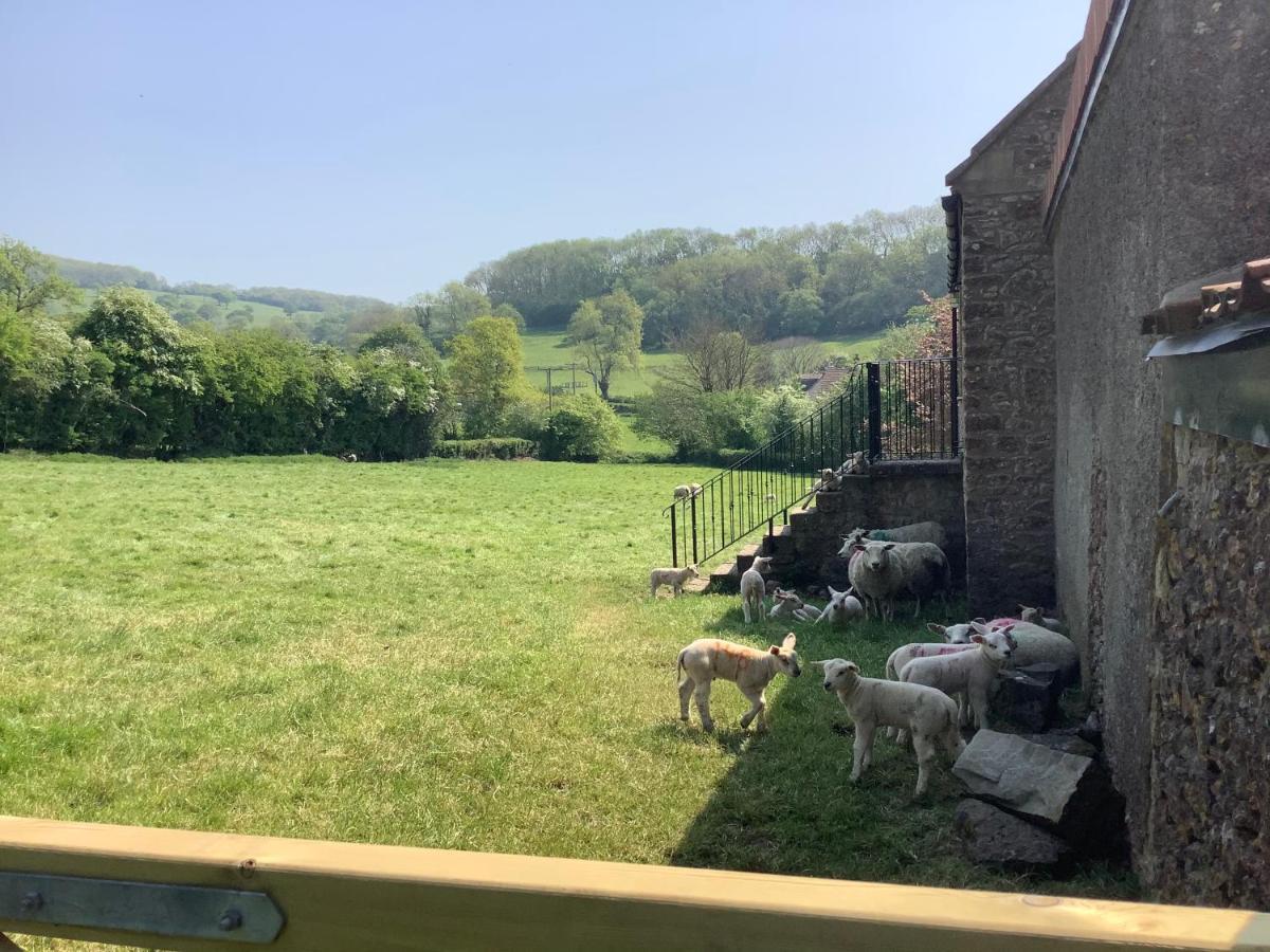 Hayloft Villa Cheddar Exteriör bild